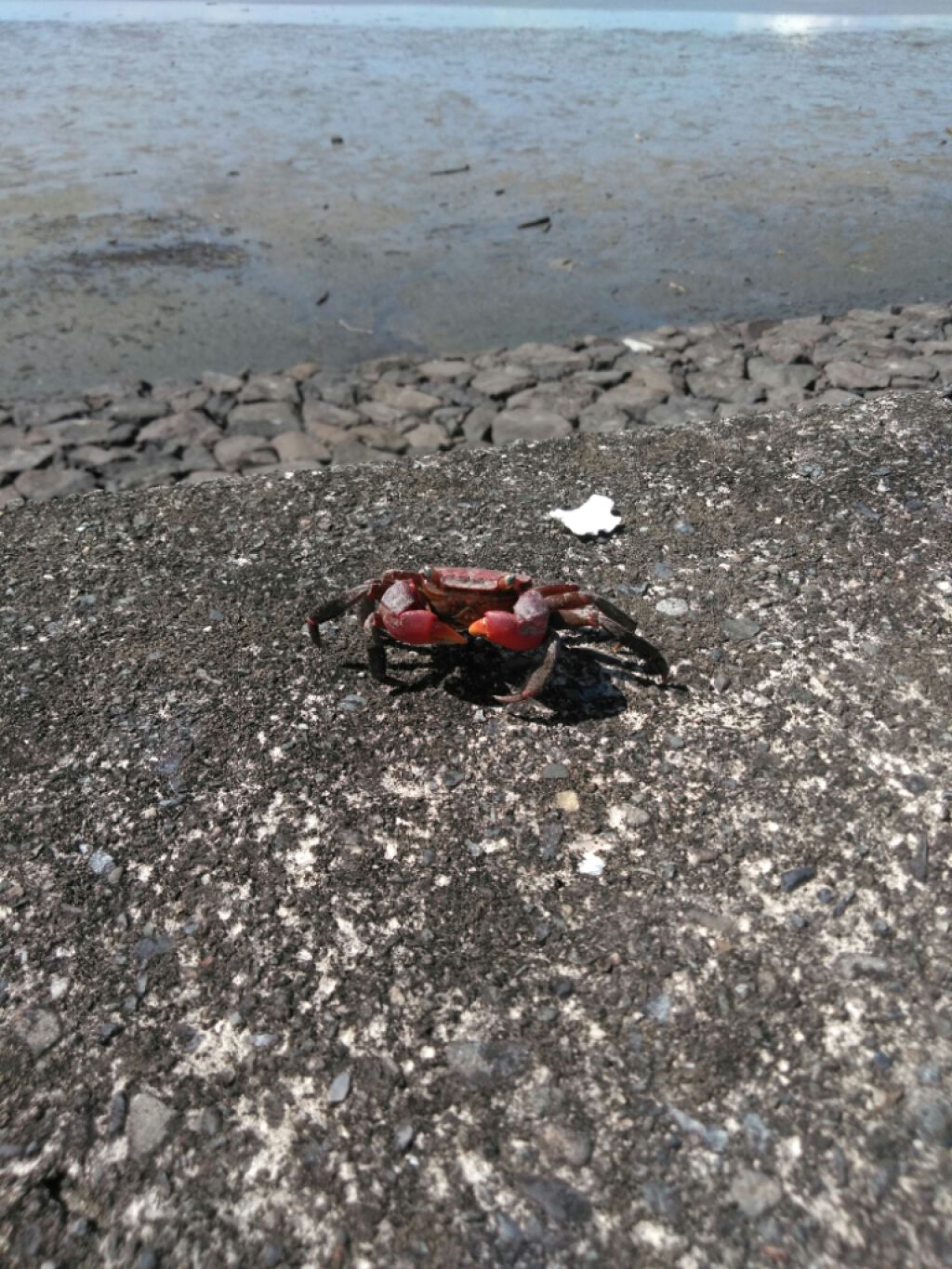 購入品/その他を使ったクチコミ（2枚目）