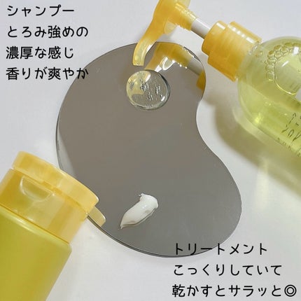 SHAMPOO & REPAIR/MEDULLA/市販シャンプーを使ったクチコミ(2枚目)