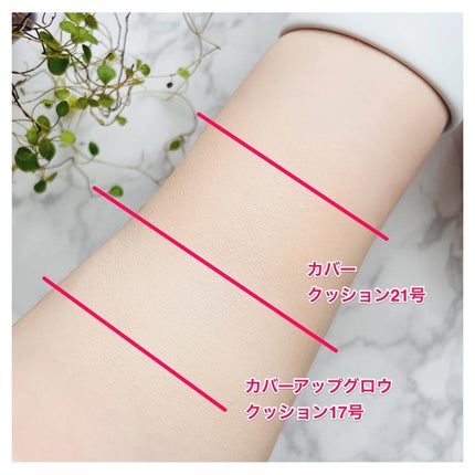 ピンクティーツリーカバークッション/APLIN/クッションファンデーションを使ったクチコミ(9枚目)