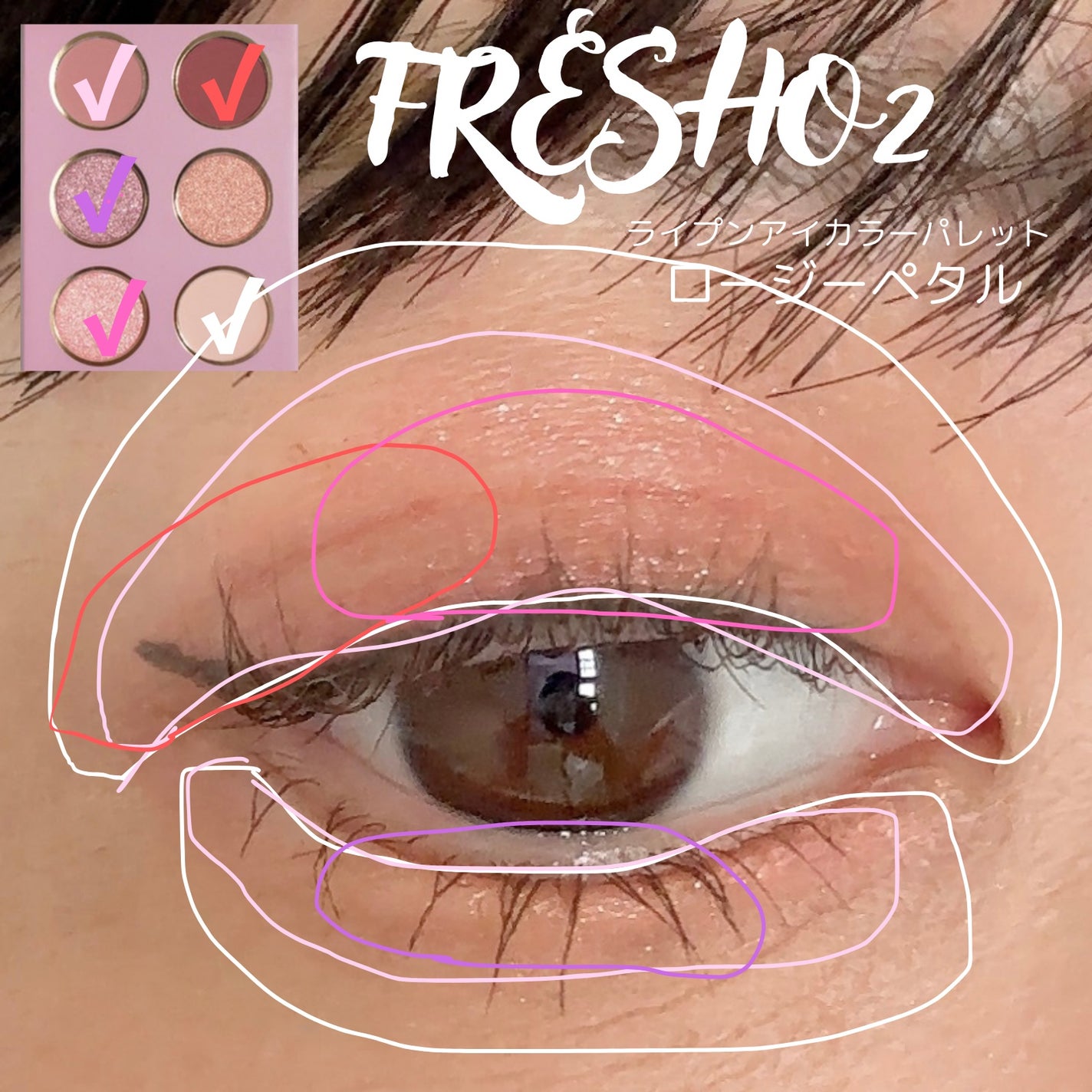 ライプンアイカラーパレット/FRESHO2/アイシャドウパレットを使ったクチコミ(2枚目)