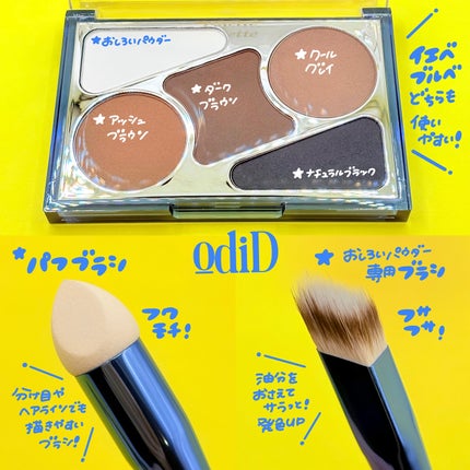 アーティストライン ヘアコンシーラーパレット/odiD/その他スタイリングを使ったクチコミ(2枚目)