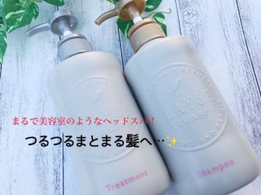 シャンプー／トリートメント DN ダメージケア トリートメント本体500ml/CLAYGE/シャンプー・コンディショナーを使ったクチコミ（1枚目）