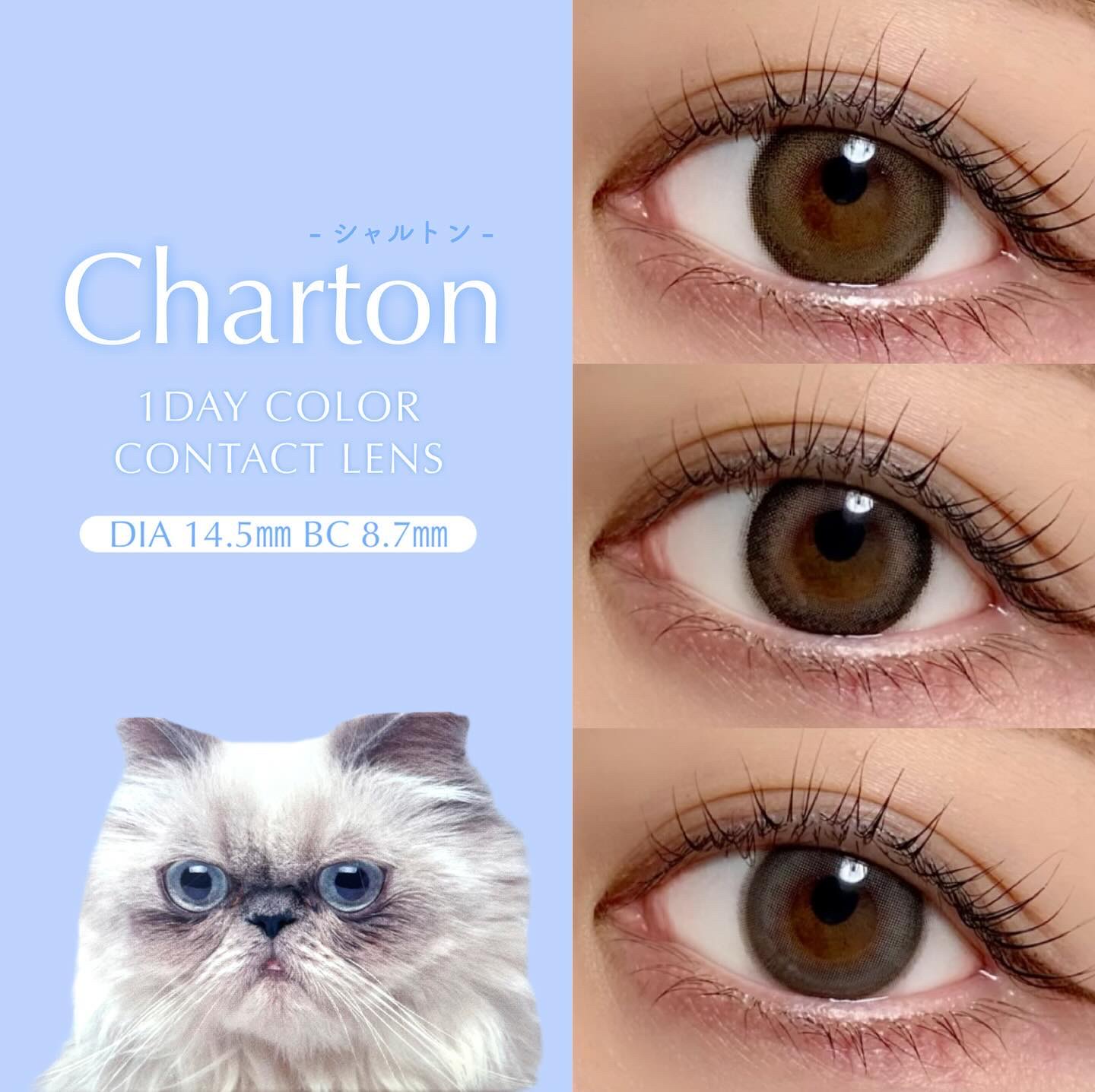 Charton 1day/Charton/ワンデー（１DAY）カラコンを使ったクチコミ（1枚目）
