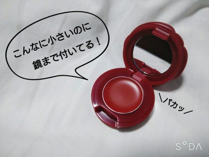 Rosy Lips/the YEON/口紅を使ったクチコミ(2枚目)