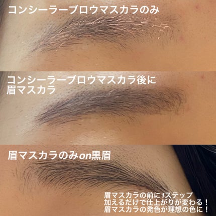 コンシーラーブロウマスカラ/キャンメイク/その他アイブロウを使ったクチコミ(4枚目)