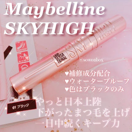 スカイハイ/MAYBELLINE NEW YORK/マスカラを使ったクチコミ(1枚目)