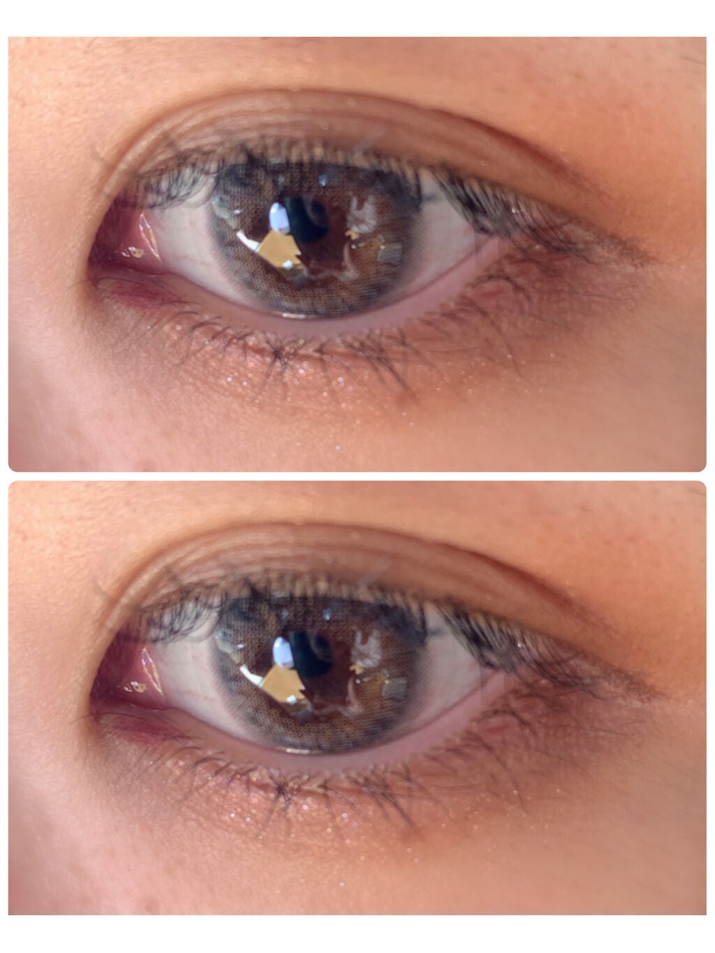 MOLAK 1day/MOLAK/ワンデー(1DAY)カラコンを使ったクチコミ(2枚目)