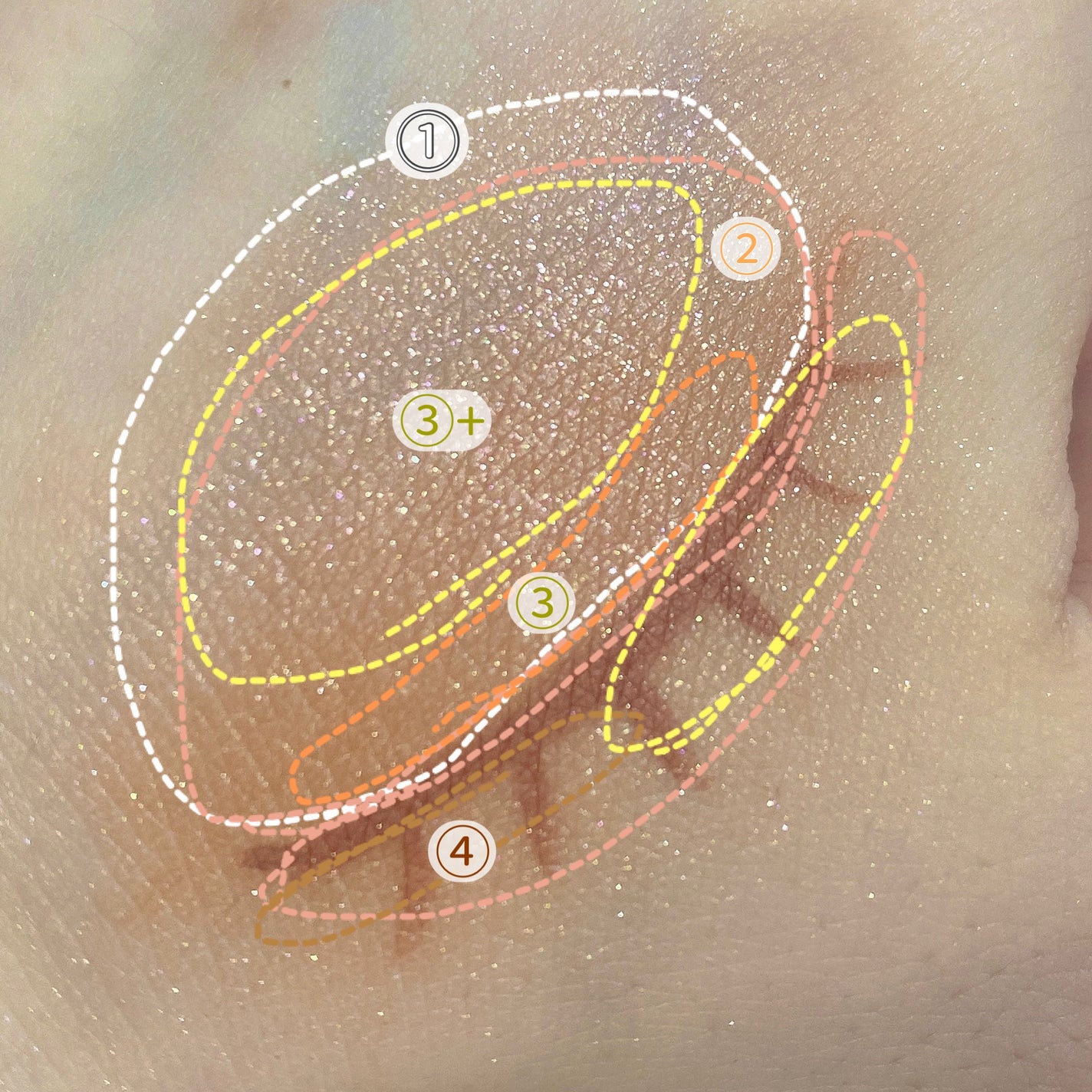 アイカラーレーション/LUNASOL/アイシャドウパレットを使ったクチコミ(3枚目)