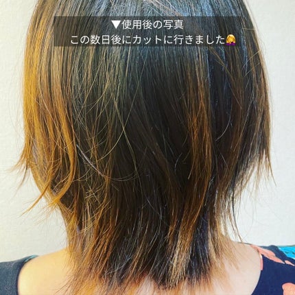 ファイブハーブス リペアリングヘアミルクセラム/L'OCCITANE/ヘアミルクを使ったクチコミ(5枚目)