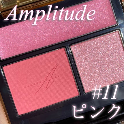 コンスピキュアス アイズ/Amplitude/アイシャドウパレットを使ったクチコミ(1枚目)