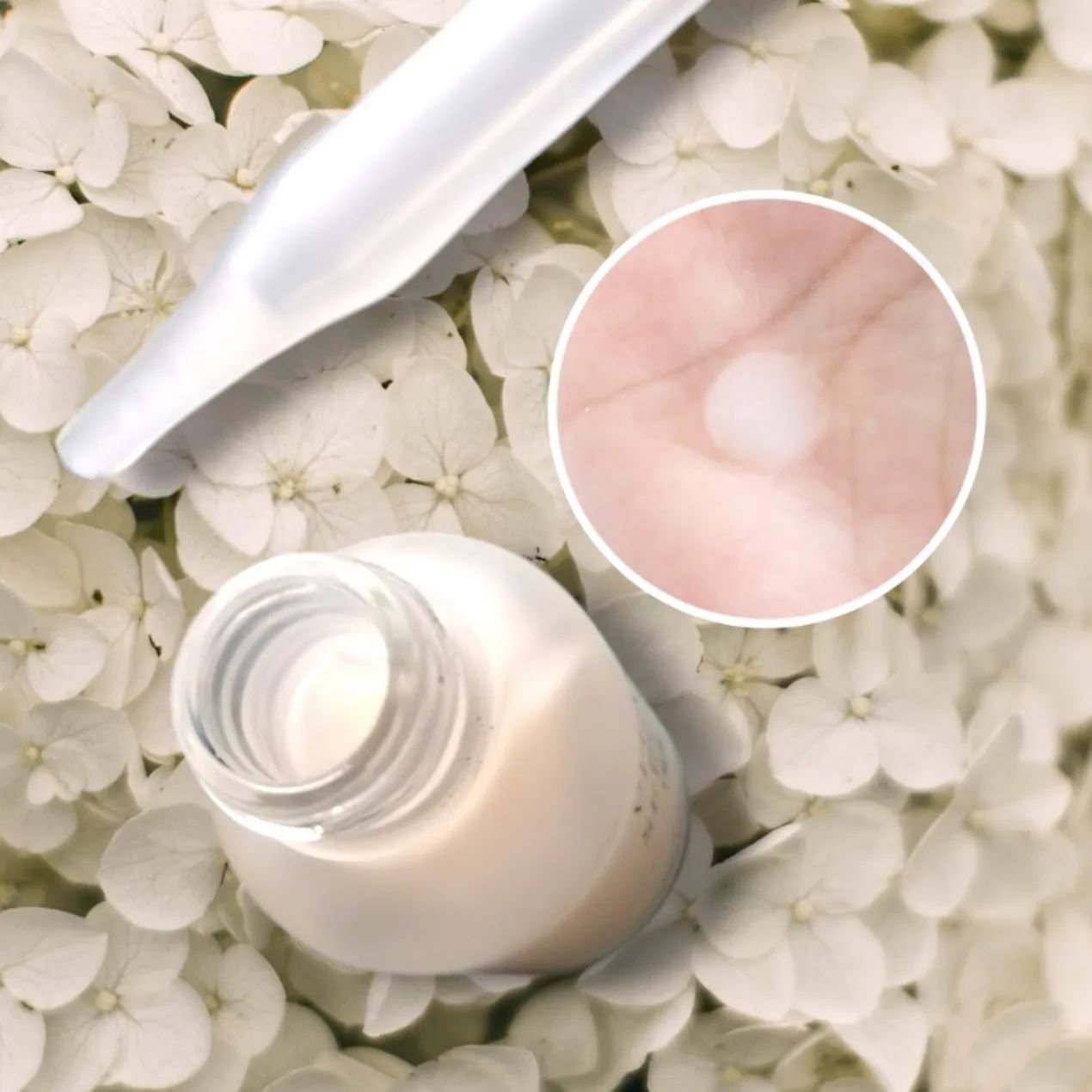 VITAL eL SERUM/eLife/美容液を使ったクチコミ（3枚目）