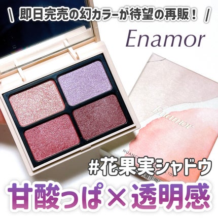 ニュアンスカラーアイズ/Enamor/アイシャドウパレットを使ったクチコミ(1枚目)