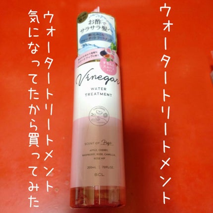 ウォータリーシアー リップスティック/Laka/口紅を使ったクチコミ(2枚目)