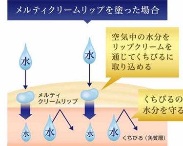 メルティクリームリップ/メンソレータム/リップケア・リップクリームを使ったクチコミ（3枚目）