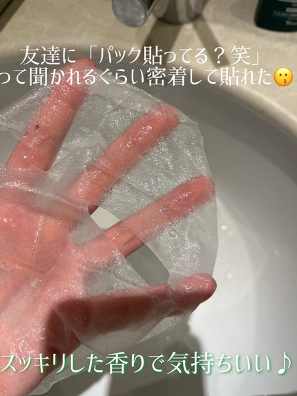 ボタニカル マスクシート AL/innisfree/シートマスク・パックの画像