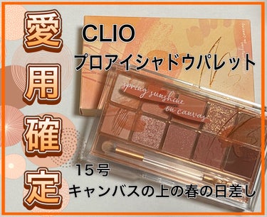 プロ アイ パレット/CLIO/アイシャドウパレットを使ったクチコミ（1枚目）