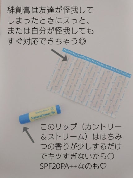 UVリップクリーム HM/カントリー&ストリーム/リップケアを使ったクチコミ(4枚目)