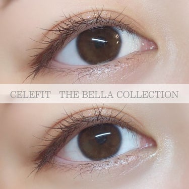 The Bella collection eyeshadow palette/CELEFIT/アイシャドウパレットを使ったクチコミ（1枚目）