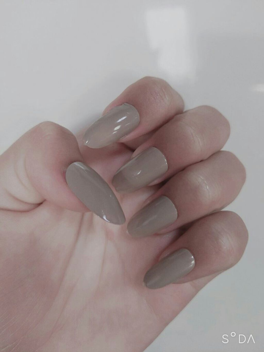 ネイルチップオーバルタイプ/DAISO/ネイルチップ・パーツを使ったクチコミ(2枚目)