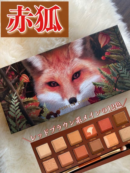 エクスプローラ12色 動物アイシャドウパレット/PERFECT DIARY/アイシャドウパレットを使ったクチコミ(1枚目)