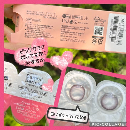 Angelcolor Bambi Series 1day /AngelColor/ワンデー(1DAY)カラコンを使ったクチコミ(3枚目)