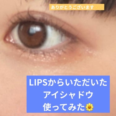 なかのん🐻‍❄️ on LIPS 「いただいたアイシャドウつかってみた！！！！今回は最後のやつみた..」（1枚目）