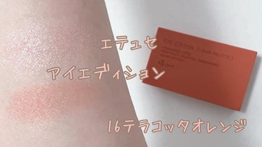 アイエディション(カラーパレット)/ettusais/アイシャドウパレットを使ったクチコミ（1枚目）