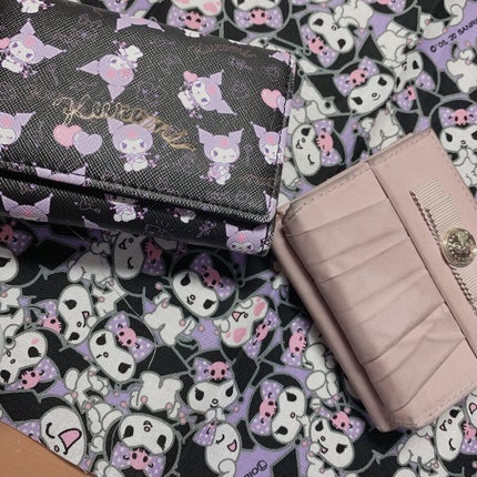 ひな on LIPS 「ウェストポーチの中身紹介最初ケースには前髪クリップ続いてのケー..」(6枚目)