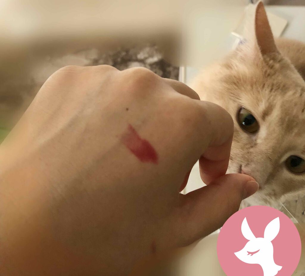 ザ・オンリーワン ルミナスカラー リップスティック/DOLCE&GABBANA BEAUTY/口紅を使ったクチコミ(3枚目)