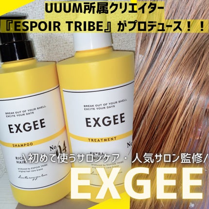 エグジー シャンプー/トリートメント/EXGEE/市販シャンプーを使ったクチコミ(1枚目)