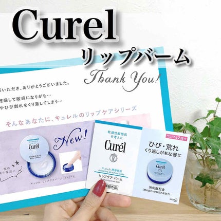 リップケア バーム/キュレル/リップバームを使ったクチコミ(1枚目)