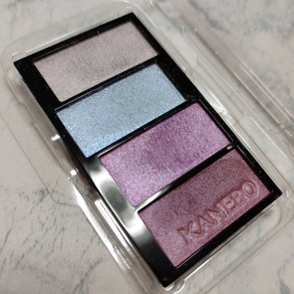 レイヤードカラーズアイシャドウ/KANEBO/アイシャドウパレットを使ったクチコミ(2枚目)
