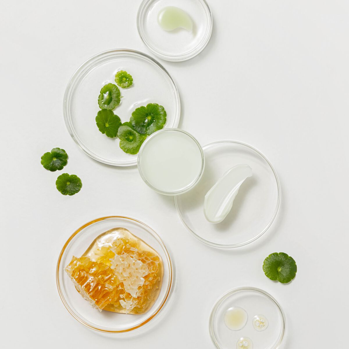 シカマヌ　セラム　クッションファンデ/parnell/クッションファンデーションを使ったクチコミ（3枚目）