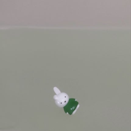 S〜 on LIPS 「ディック・ブルーナバスボールミッフィーの入浴剤を使いました!パ..」(6枚目)