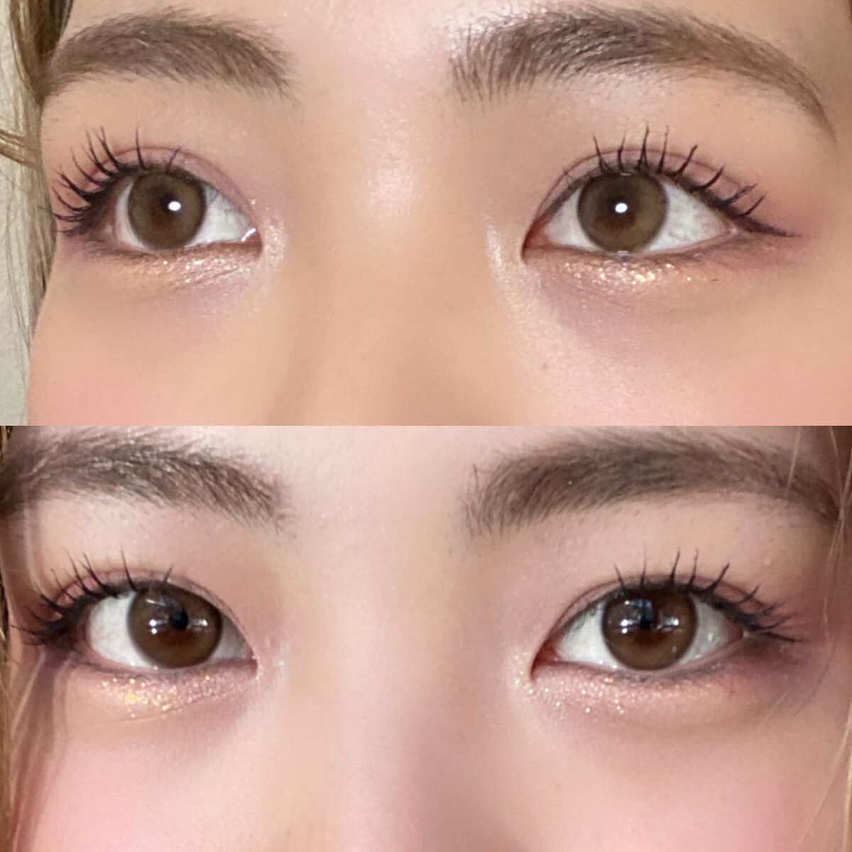 ピュアリティーシャインワンデー(PURITYSHINE 1day)/OLOLA/ワンデー（１DAY）カラコンを使ったクチコミ（2枚目）