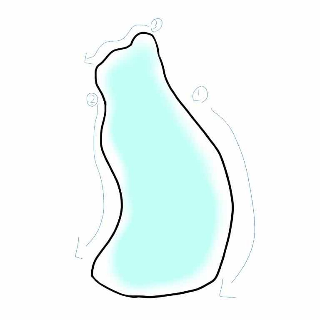 ネコかっさ/セリア/かっさプレートを使ったクチコミ（2枚目）