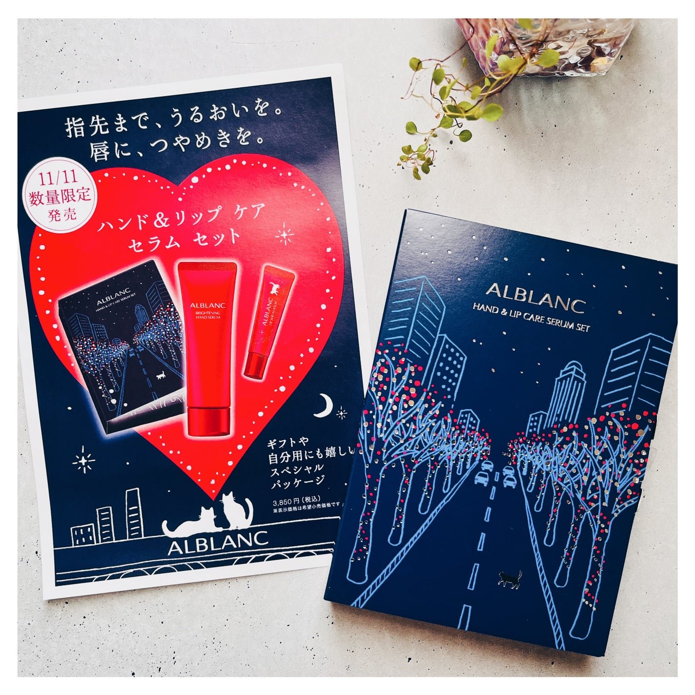 ハンド&リップ セラム セット/ALBLANC/その他キットセットを使ったクチコミ(3枚目)