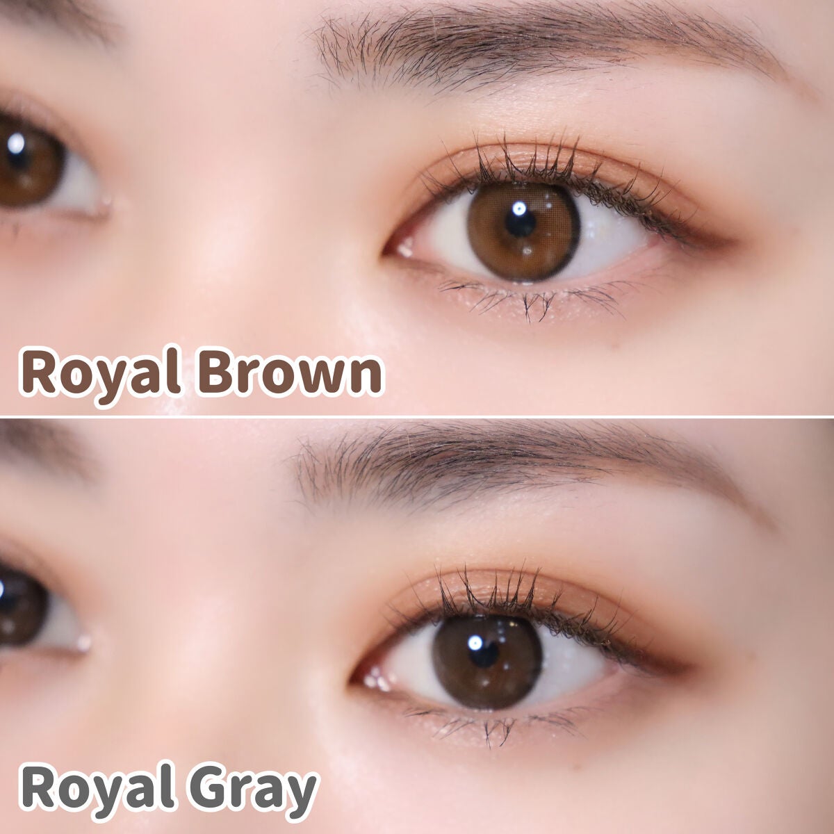 COLOさん˚✧₊⁎❝᷀ົཽ≀ˍ̮ ❝᷀ົཽ⁎⁺˳✧༚ on LIPS 「本日紹介するのは5月下旬に発売予定のオリアナFITRoyalB..」(4枚目)