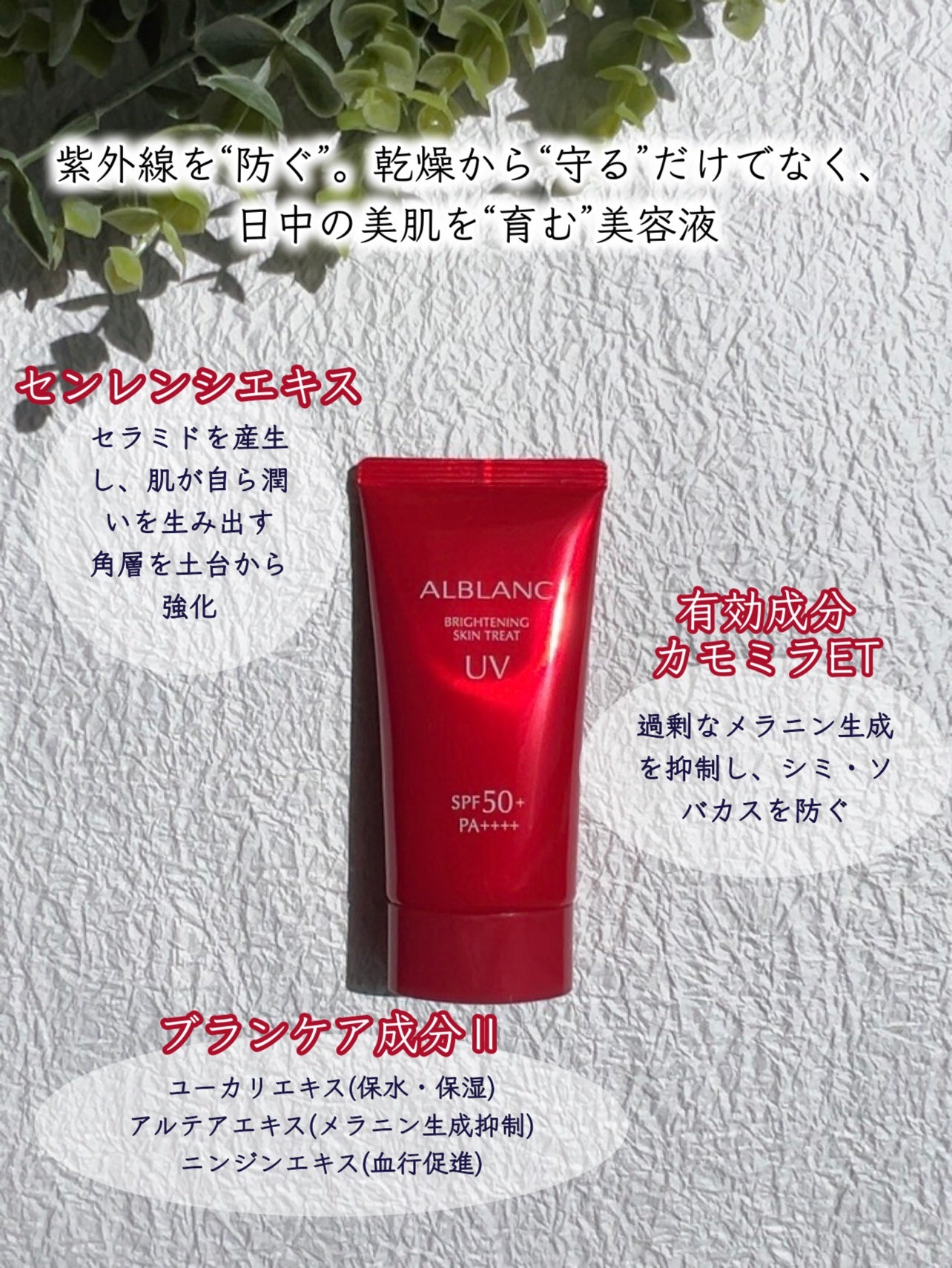 ブライトニングスキントリートUV/ALBLANC/日焼け止めローションを使ったクチコミ(8枚目)