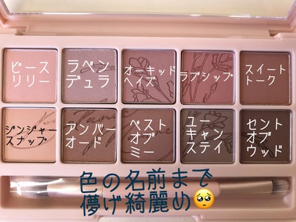 プロ アイ パレット/CLIO/アイシャドウパレットを使ったクチコミ(3枚目)