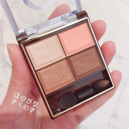 スキニーリッチシャドウ/excel/アイシャドウパレットを使ったクチコミ(2枚目)