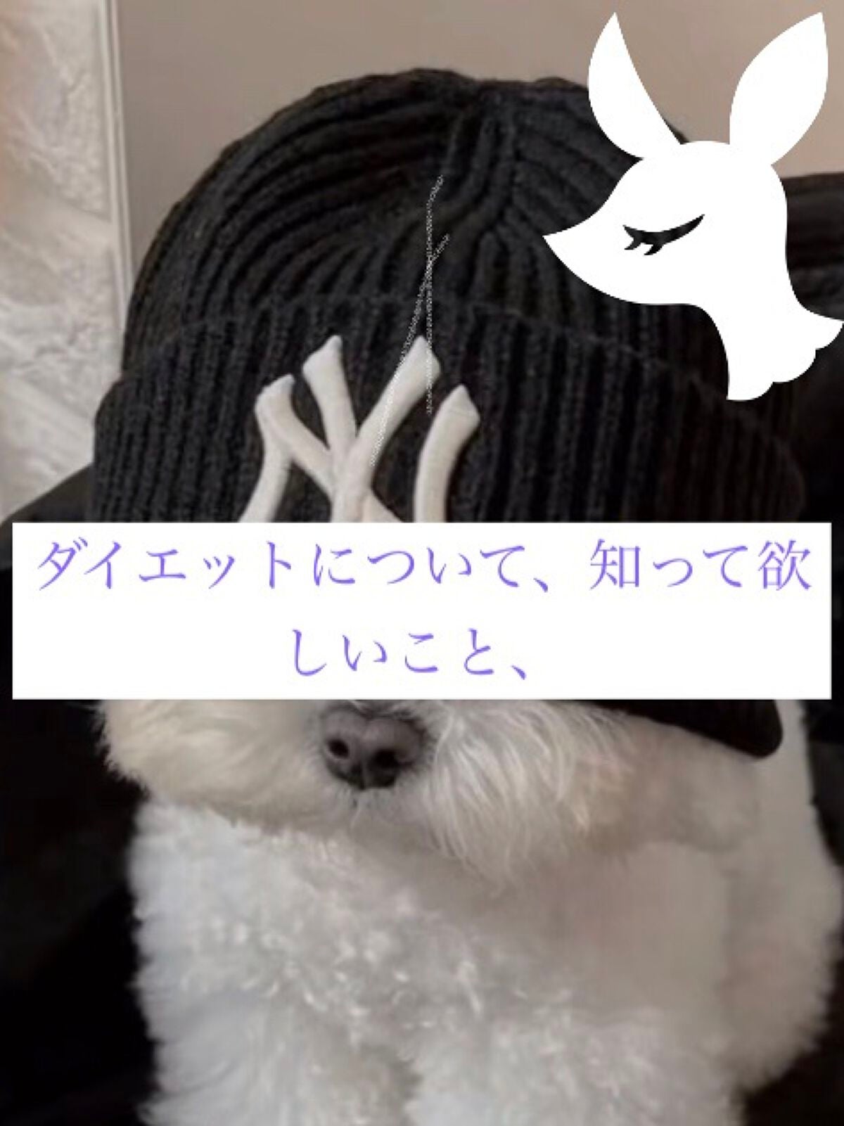 ðððð ðâªïžððâ on LIPS ããã€ãšããã«ã€ããŠâãã€ãšãããããããããæã£ãŠããæ¹ã«äŒã..ãïŒ1æç®ïŒ