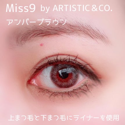 Miss 9'ミスナイン ザ エッセンスアイライナー/ARTISTIC&CO./リキッドアイライナーを使ったクチコミ(4枚目)