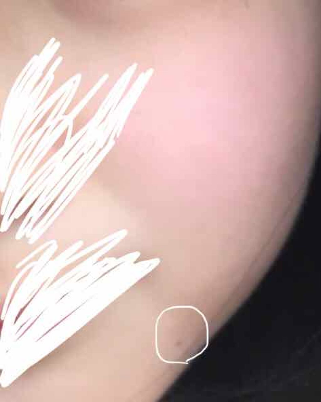 【旧品】パウダーチークス/キャンメイク/パウダーチークを使ったクチコミ(4枚目)