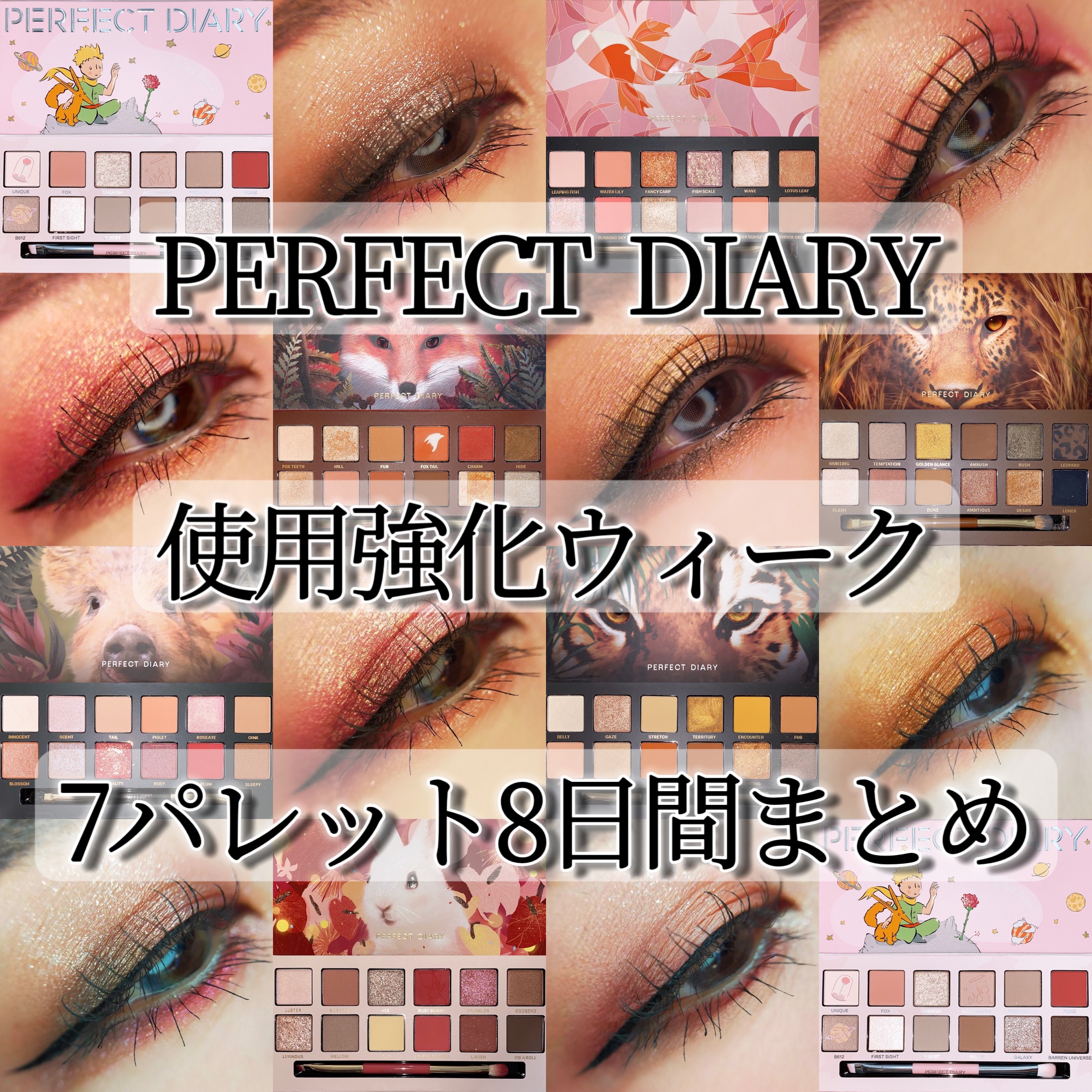 パーフェクトダイアリーアイシャドウパレット(12色) PERFECT DIARY (パーフェクトダイアリー)エクスプローラ 12色