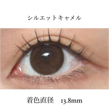 eye closet 1month/EYE CLOSET/１ヶ月（１MONTH）カラコンを使ったクチコミ（3枚目）