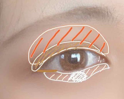 トーンアップアイシャドウ/CEZANNE/アイシャドウパレットを使ったクチコミ(4枚目)