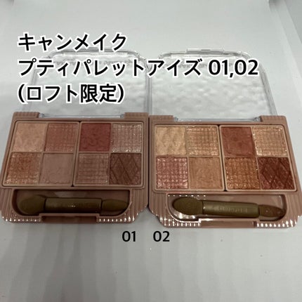 プティパレットアイズ/キャンメイク/パウダーアイシャドウを使ったクチコミ(1枚目)