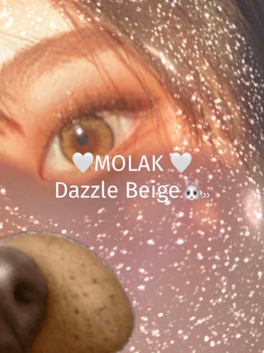 MOLAK 1month ダズルベージュ/MOLAK/１ヶ月（１MONTH）カラコンを使ったクチコミ（1枚目）
