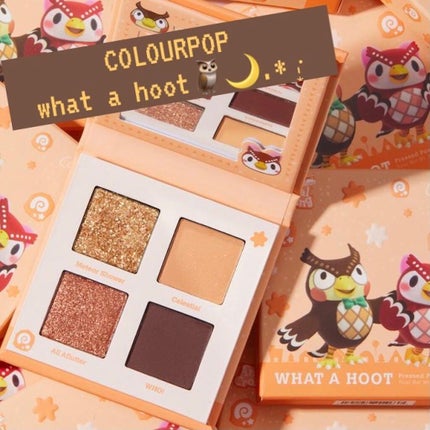 what a hoot/ColourPop/アイシャドウパレットを使ったクチコミ(1枚目)